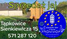 Jaja wiejskie od kur z wolnego wybiegu
