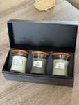 Набір cвічок Woodwick