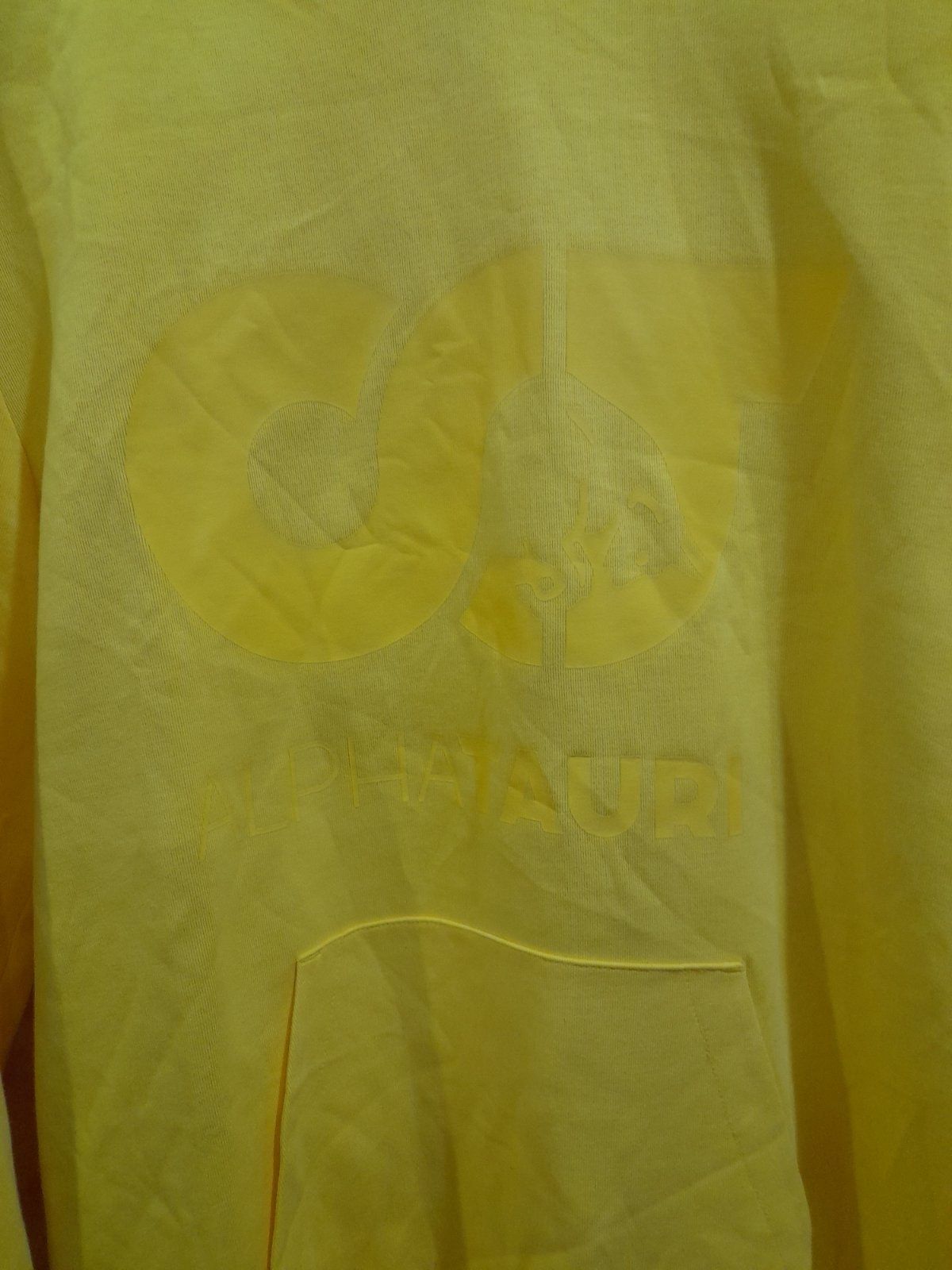 Оригинальная толстовка кофта Alpha Tauri, L-XL