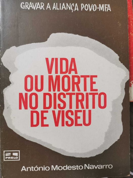 Vida ou Morte no Distrito de Viseu - António Modesto Navarro