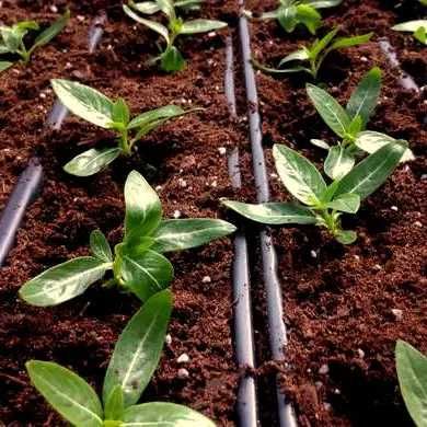 агроперлит,перліт,утеплення фасаду,агроперлит оптом,агроперліт гуртом