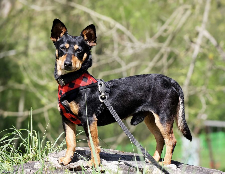 Maleńki Filip czeka na dom.