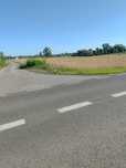 Wynajmę plac,działkę pod działalność usługową 6000m2