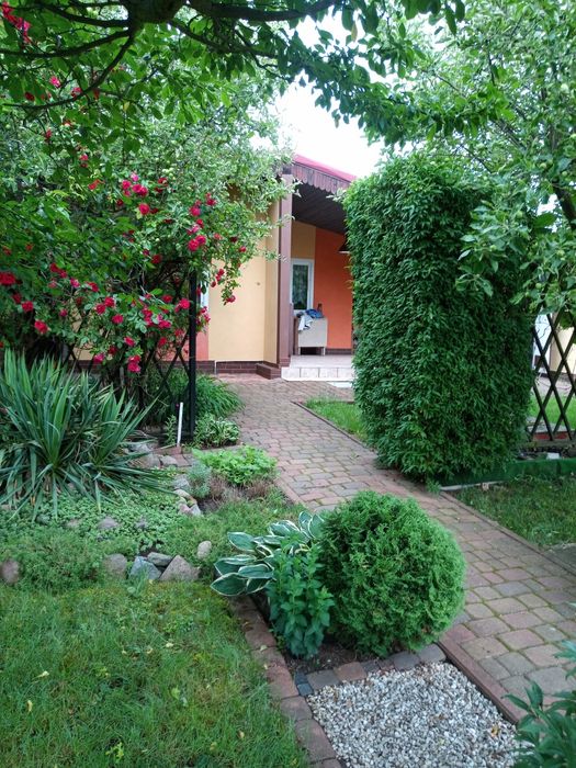 Sprzedam działkę ROD leszczynko