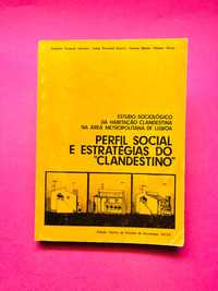 Perfil Social e Estratégias do "Clandestino" - ISCTE
