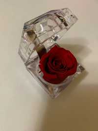 Вечная роза в шкатулке подарок на 14 февраля