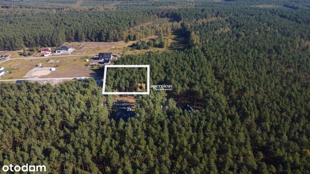 Zamieszkaj w otoczeniu lasu !