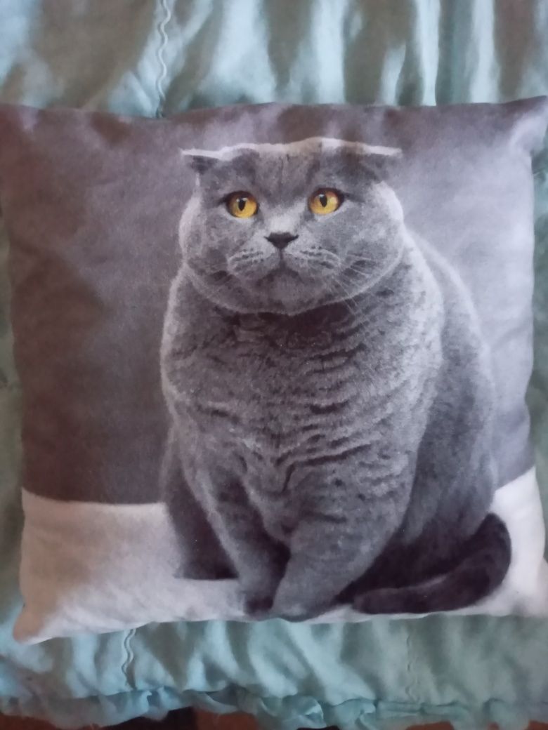Подушка з котом / з фотографією кота