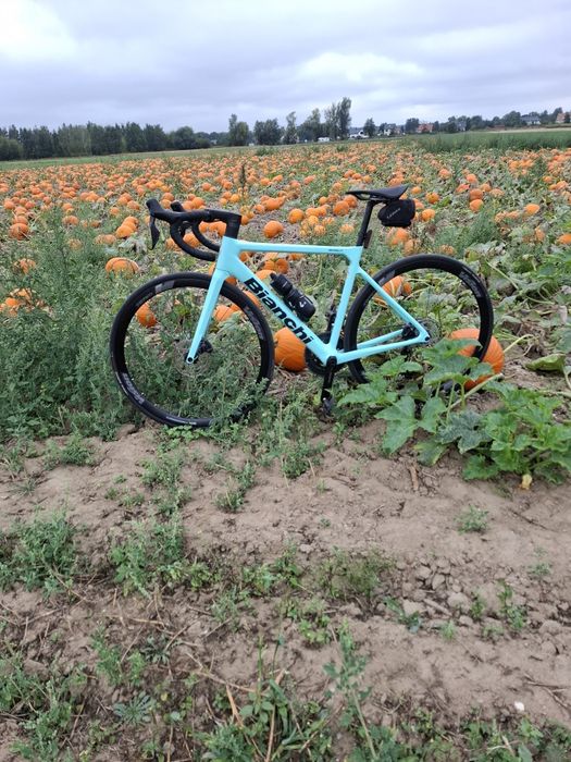 Bianchi sprint 105Di2 rama 53