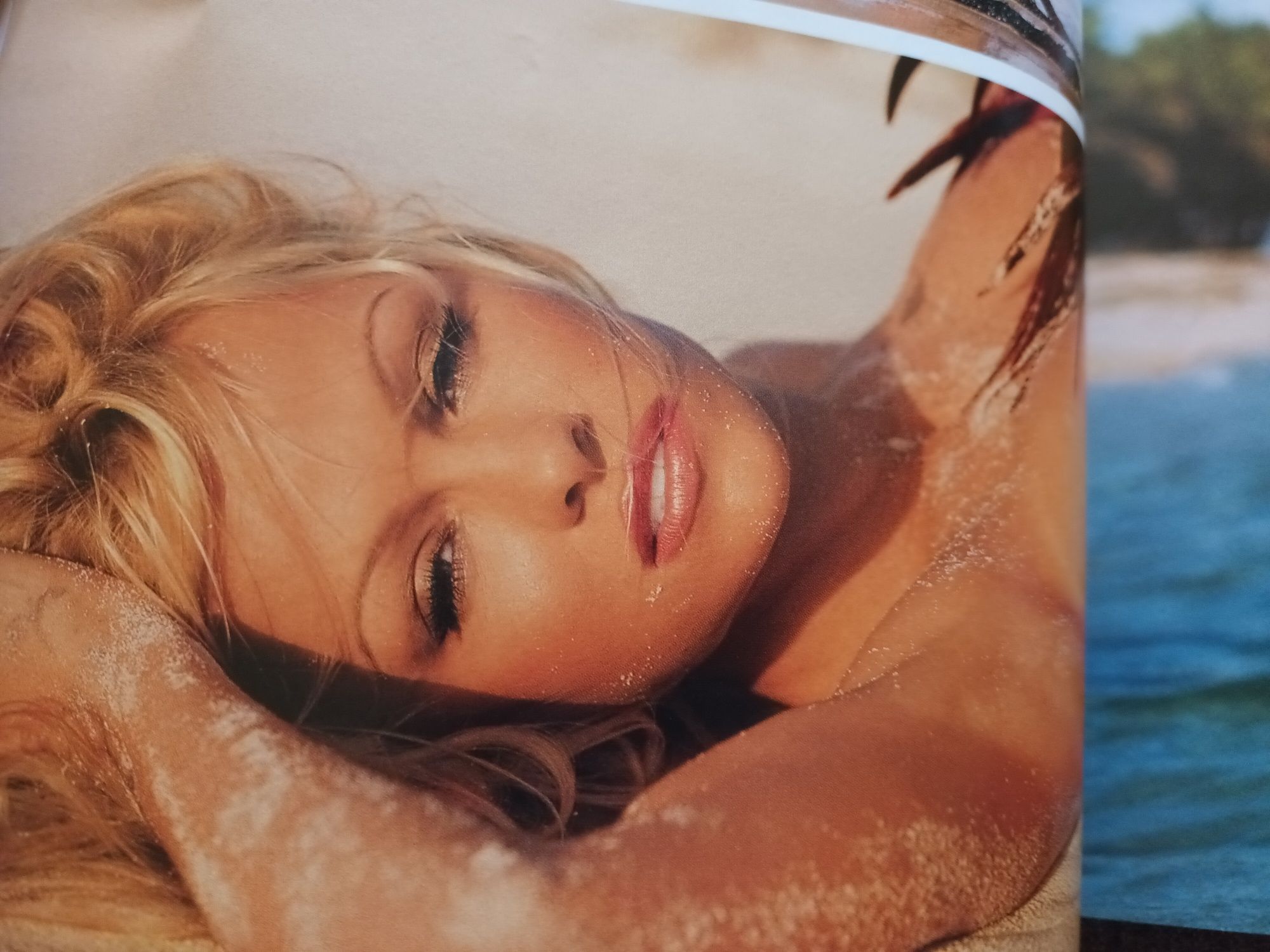 Playboy z Pamela Anderson