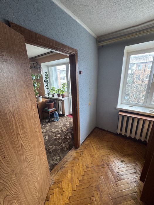 Здам квартиру в центрі
