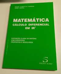 Matemática: Cálculo diferencial em IRn, de Manuel Alberto M. Ferreira