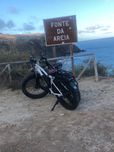 Radrhino 750W fatbike electrica trekking de Radpowerbikes
