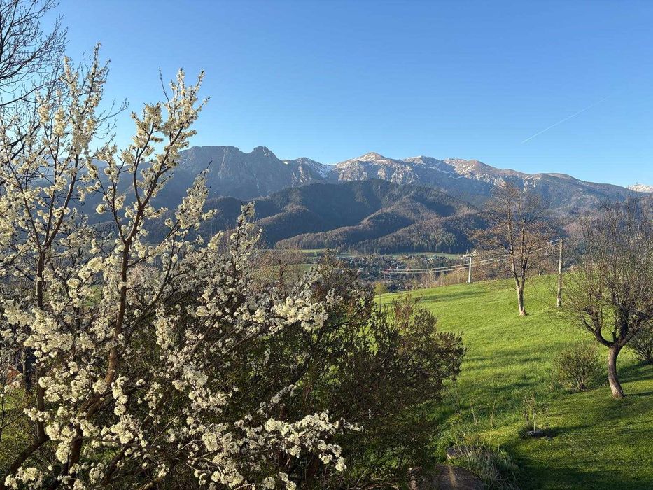 Kościelisko - pokoje z widokami na całe Tatry