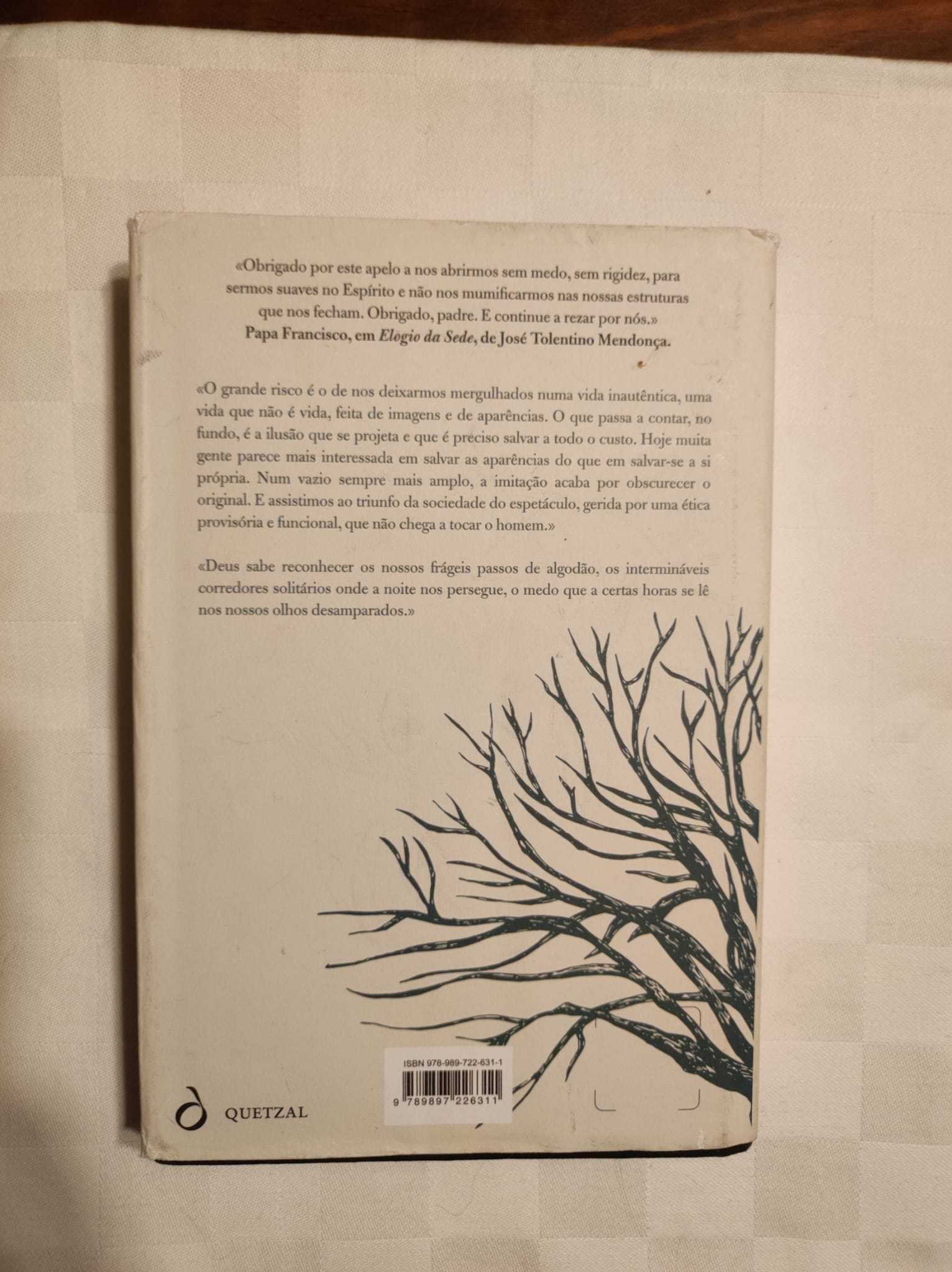 "Uma beleza que nos pertence" - José Tolentino Mendonça