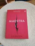 Książka 'Maestra' L.S. Hilton thriller