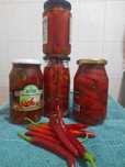 Продам гіркий маринований перець.