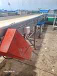 Transportadores CAUSTIER para calibrador de fruta