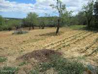 Terreno Agrícola em Boliqueime de 2200,00 m2