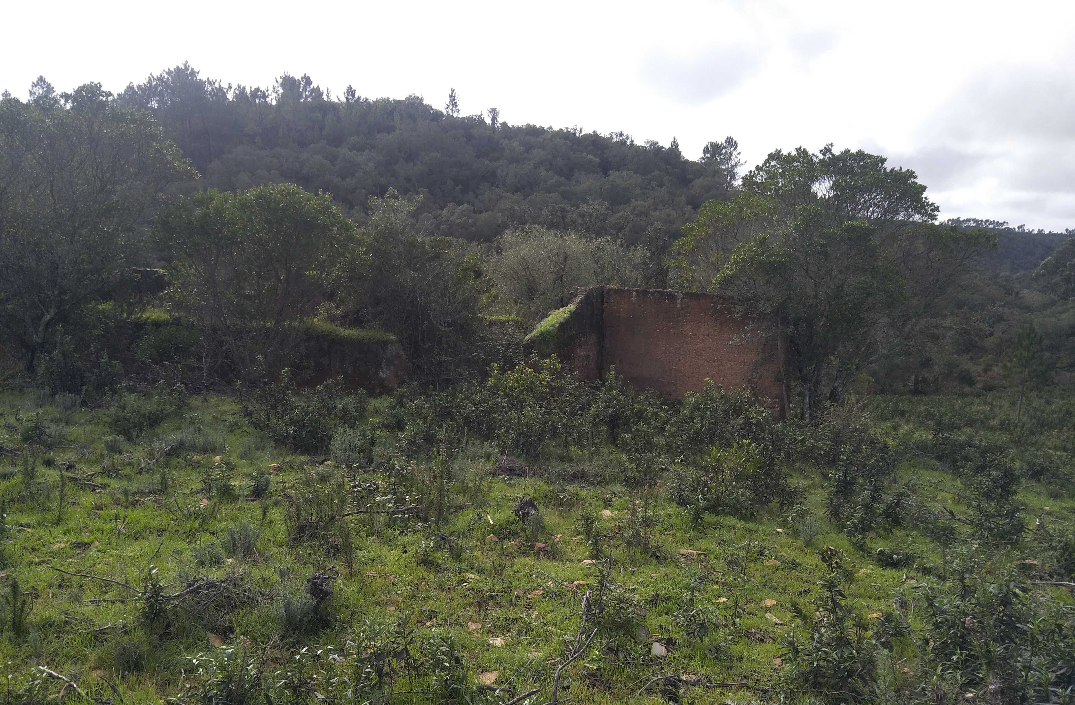 Terreno com Ruína Legalizada – 11,85 ha – Aljezur