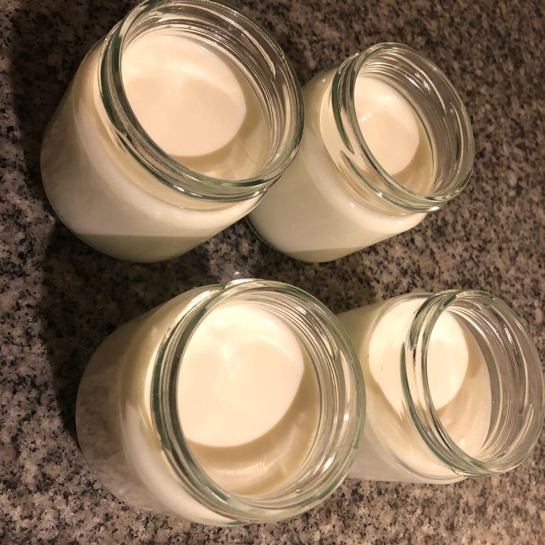 Viili iogurte finlandês infinito probiótico