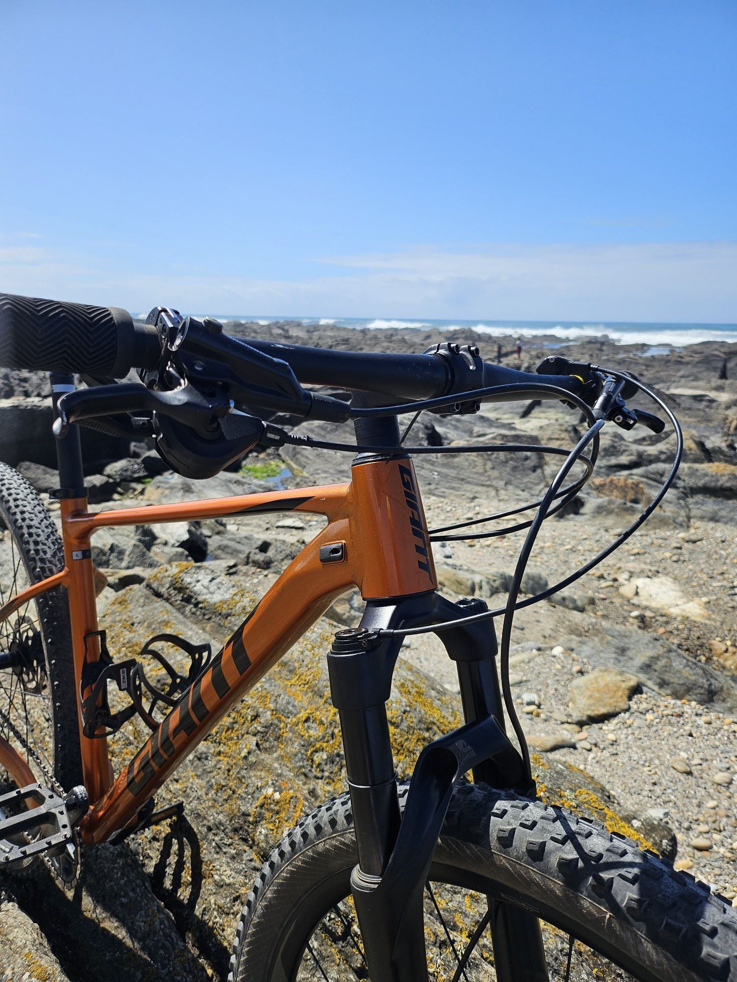 Bicicleta Giant XTC 29" - L