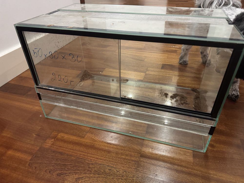 terrarium 50x30x30