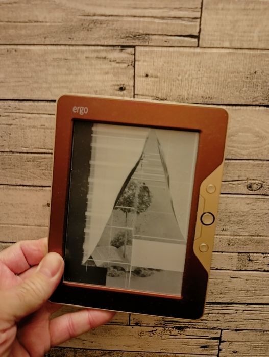 Електронна книга Ergo.