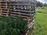Palety przemyslowe 120x100,120x120