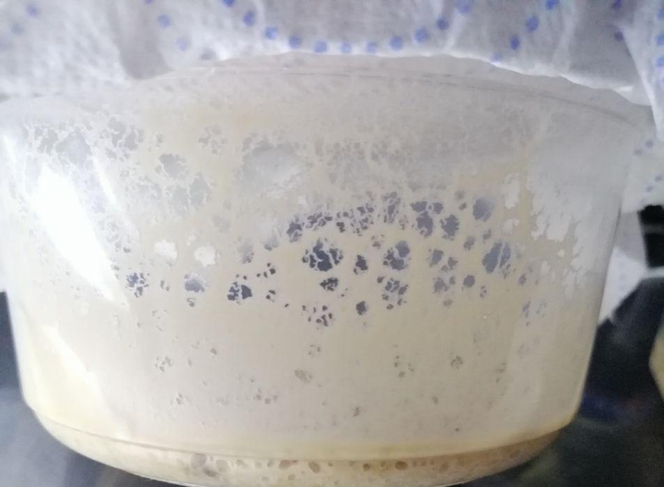 Nicienie bananowe pokarm dla narybku banana worms