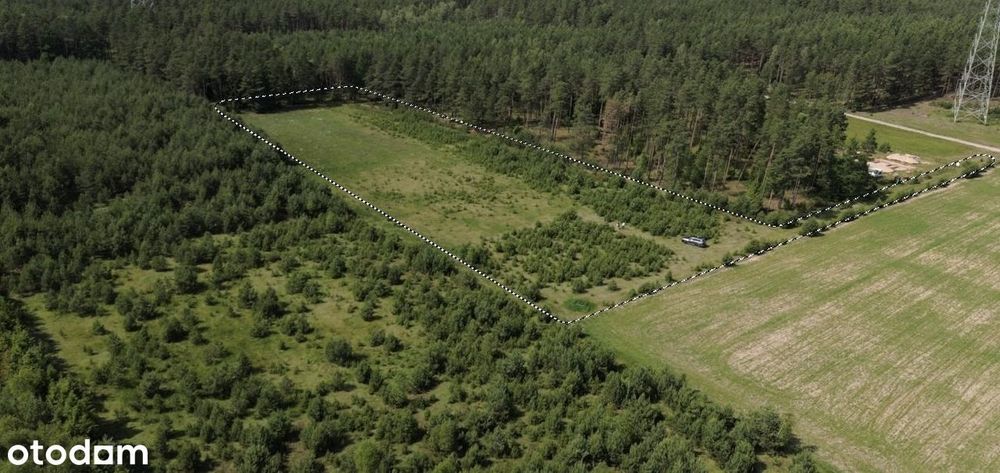 Działka siedlisko z warunkami zabudowy Gostomko