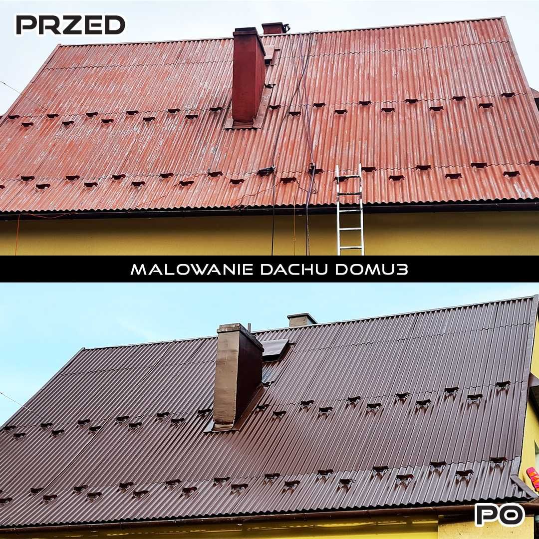 Malowanie dachów,elewacji,Naprawa dachów,Montaż rynien