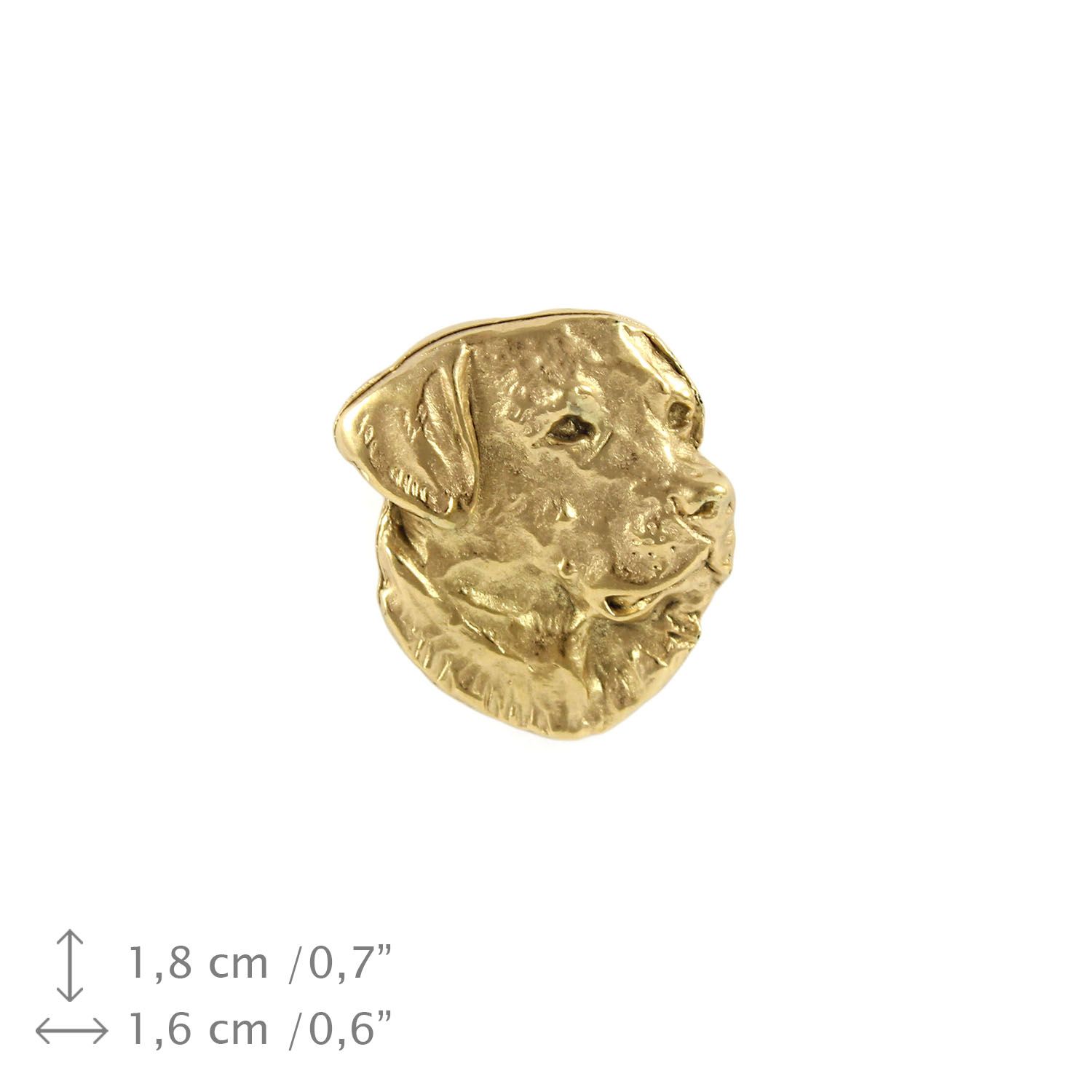 labrador retriever - broszka z psem w pudełku ozdobnym, elegancki poz