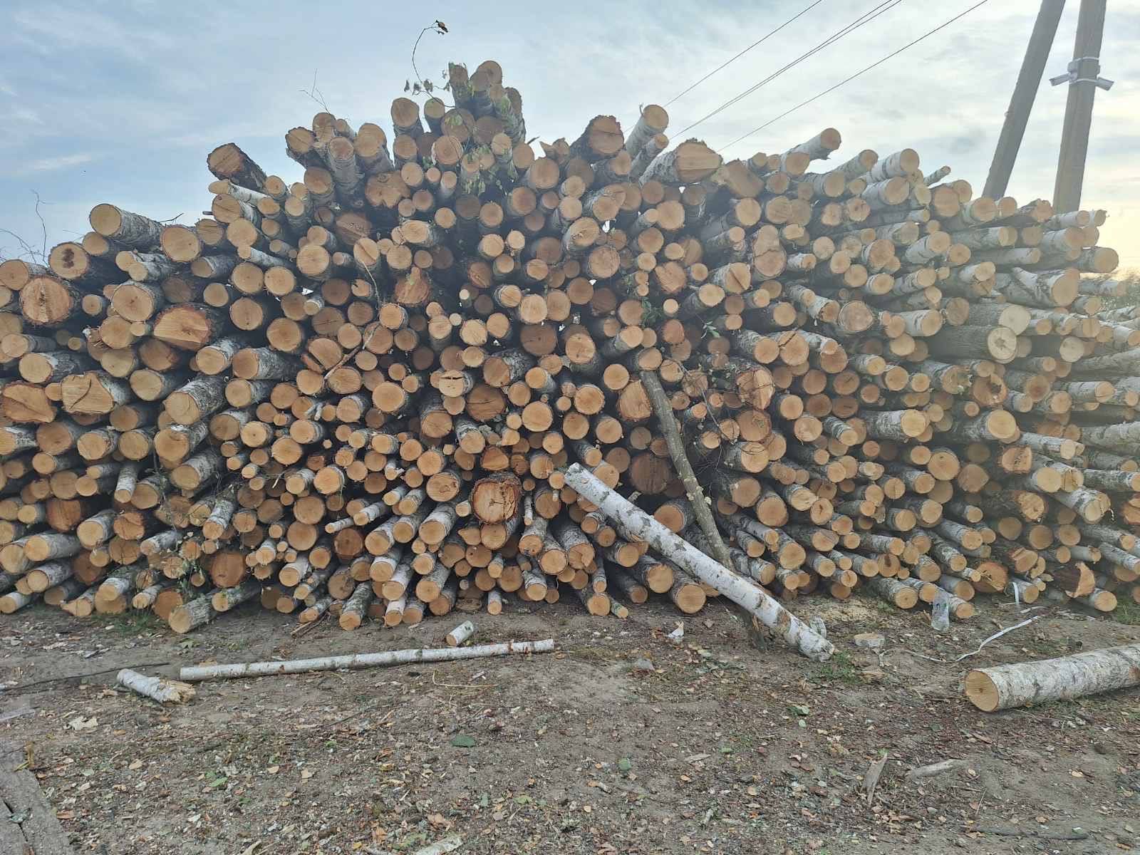 Дрова нерубані і рубані вільха,береза,дуб  2метровкі опт.