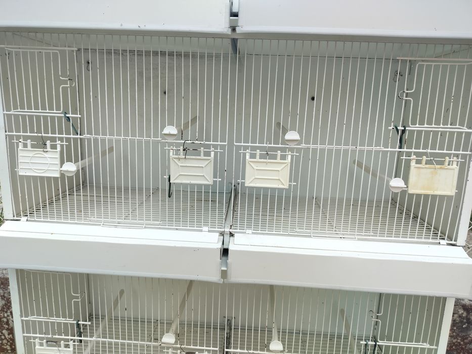 Viveiro para criação de pássaros de pequeno porte