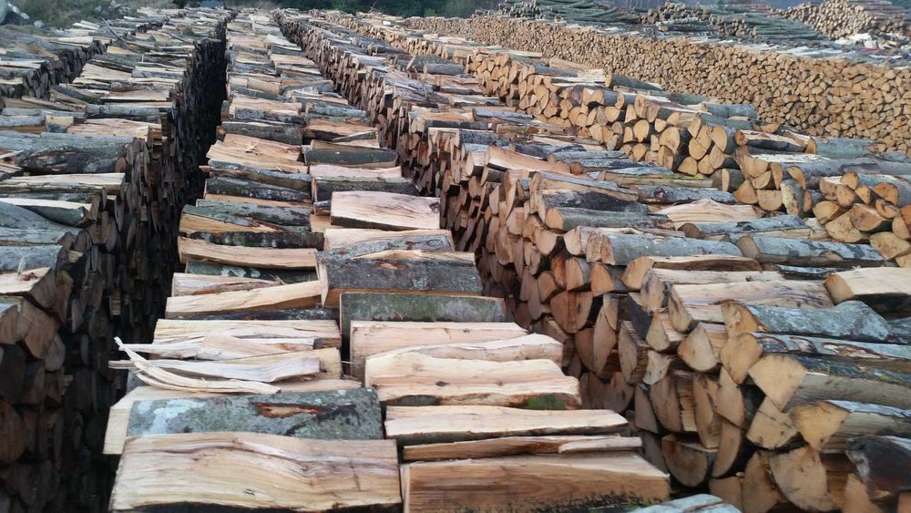 Drewno Sezonowane Buk