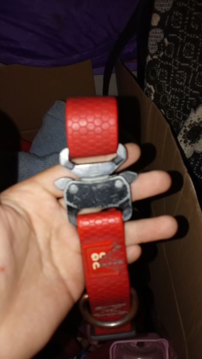 Нашийник вау дог