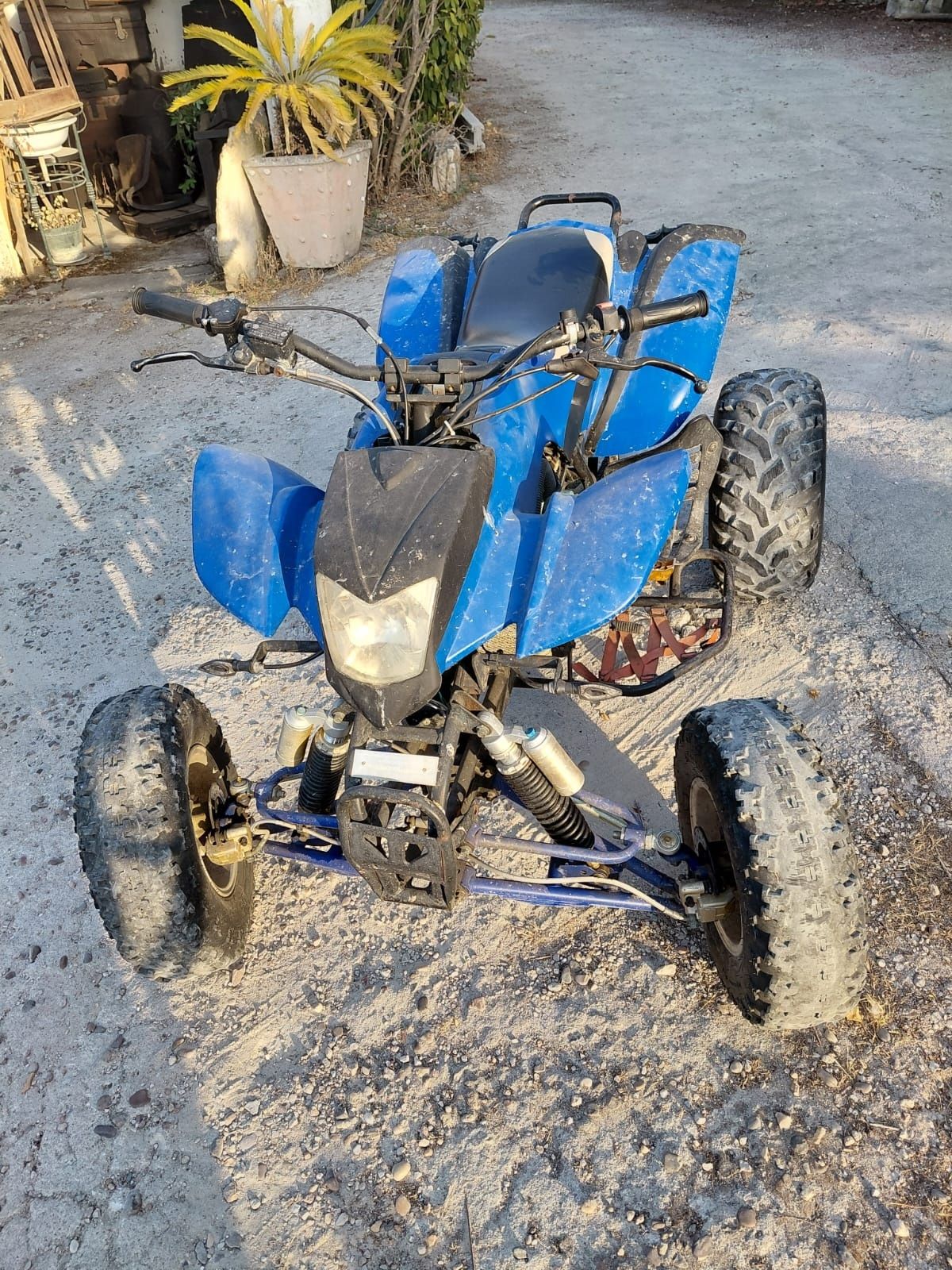 Moto4 Bashan BS200-7
