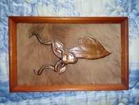 Quadro de antilupe coberto de pêlo