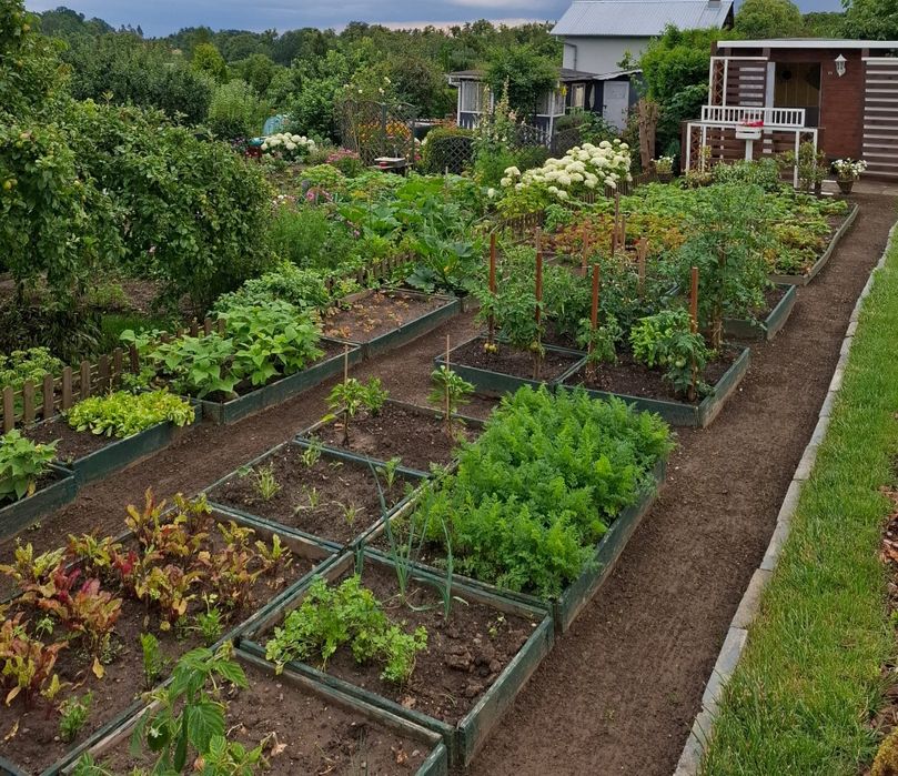 Piękna działka ROD z widokiem na jezioro 437 m2