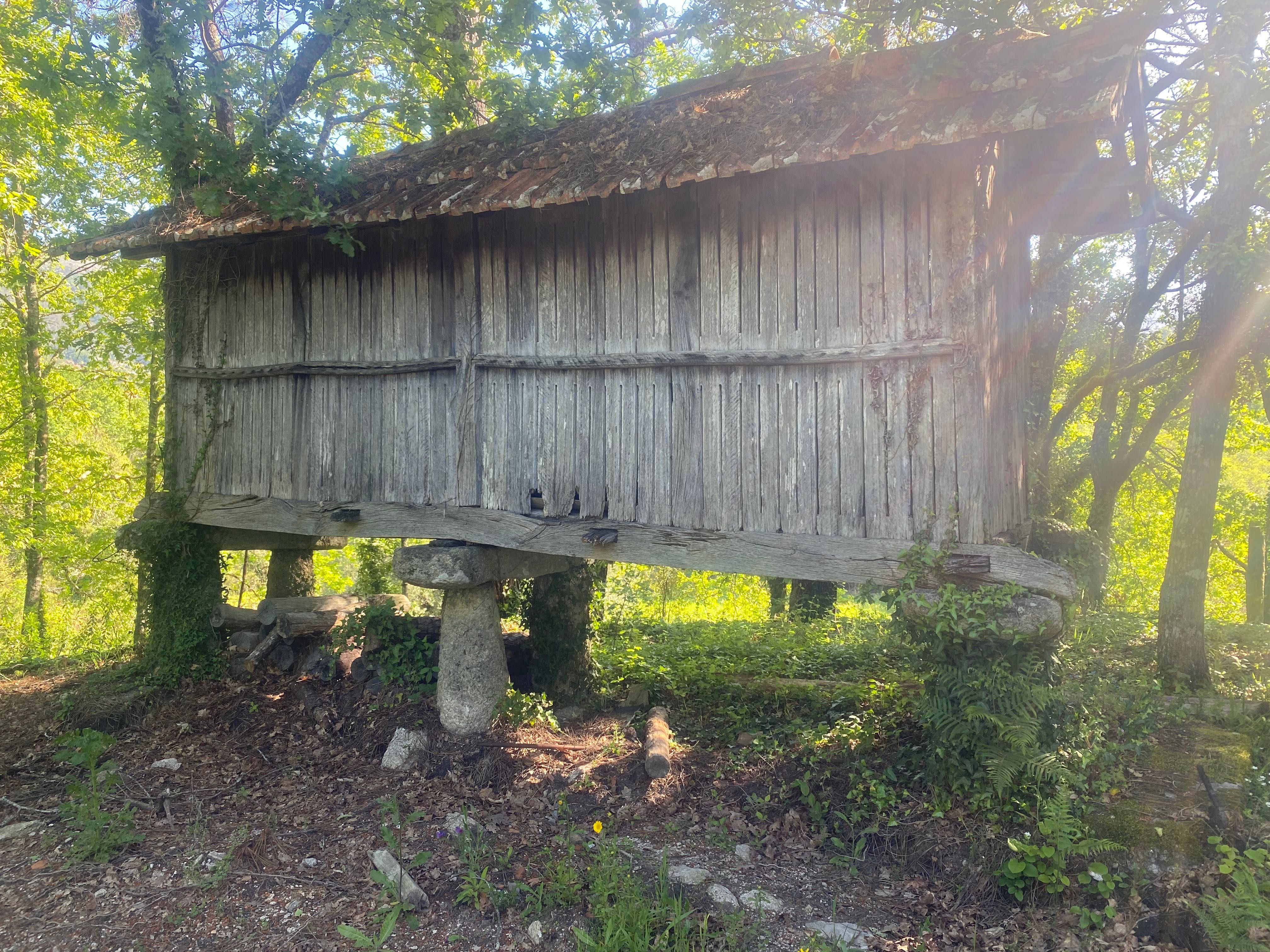 Pedras Espigueiro / canastro