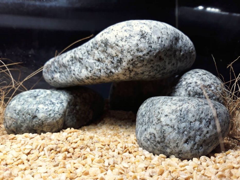 Texas Stone 2-8 mm - podłoże do terrarium pustynnego 1 kg