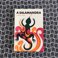 A Salamandra - Morris West