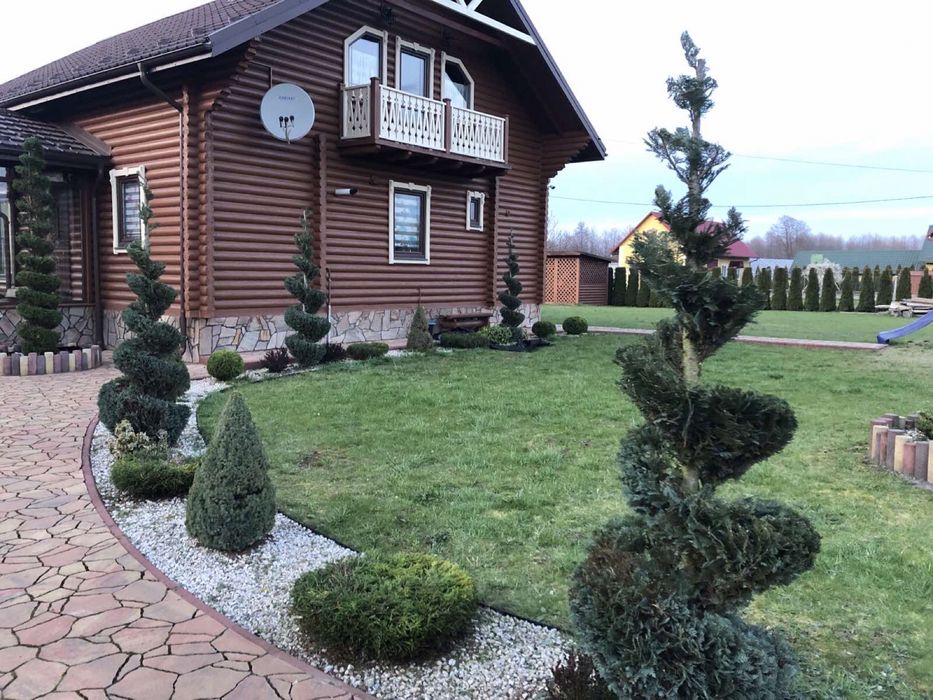 Стрижка туй, живоплоту. Чистка території,обрізка дерев,догляд за садом