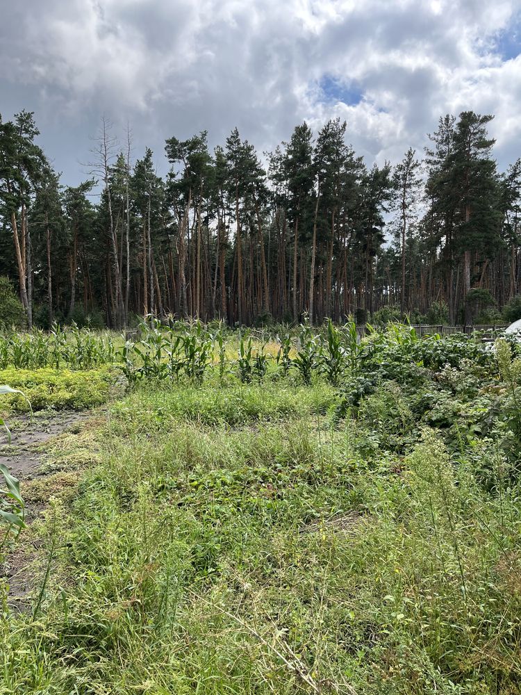 Продам дом в с. Терновая