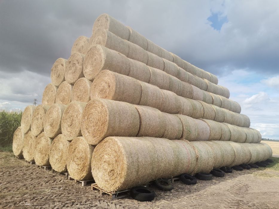 Sprzedam Słomę 2025, 130x120  160-170cm i 120x150cm z transportem