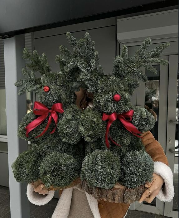 Новорічні помпозіціі  із Елі Нобіліс