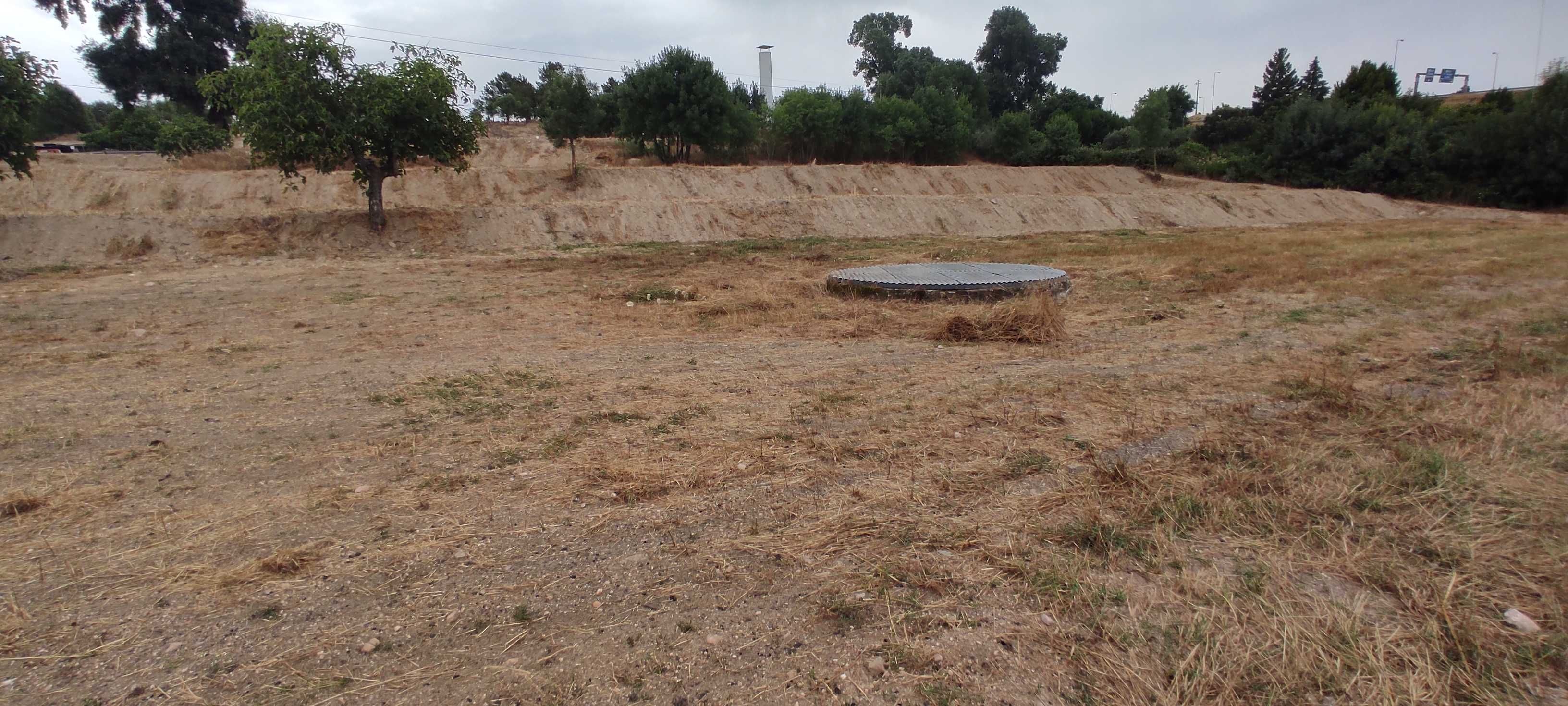 Arrenda-se terreno agrícola