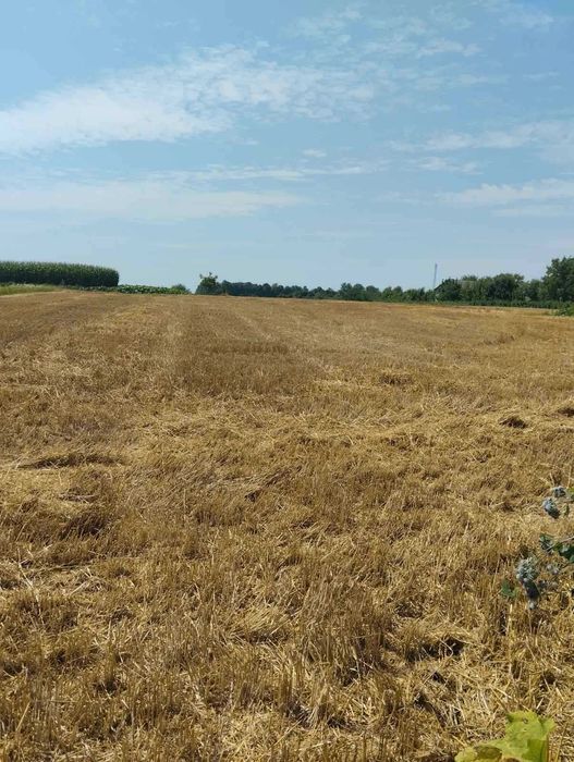 будинок у центрі с.Гніздичне Тернопільського району