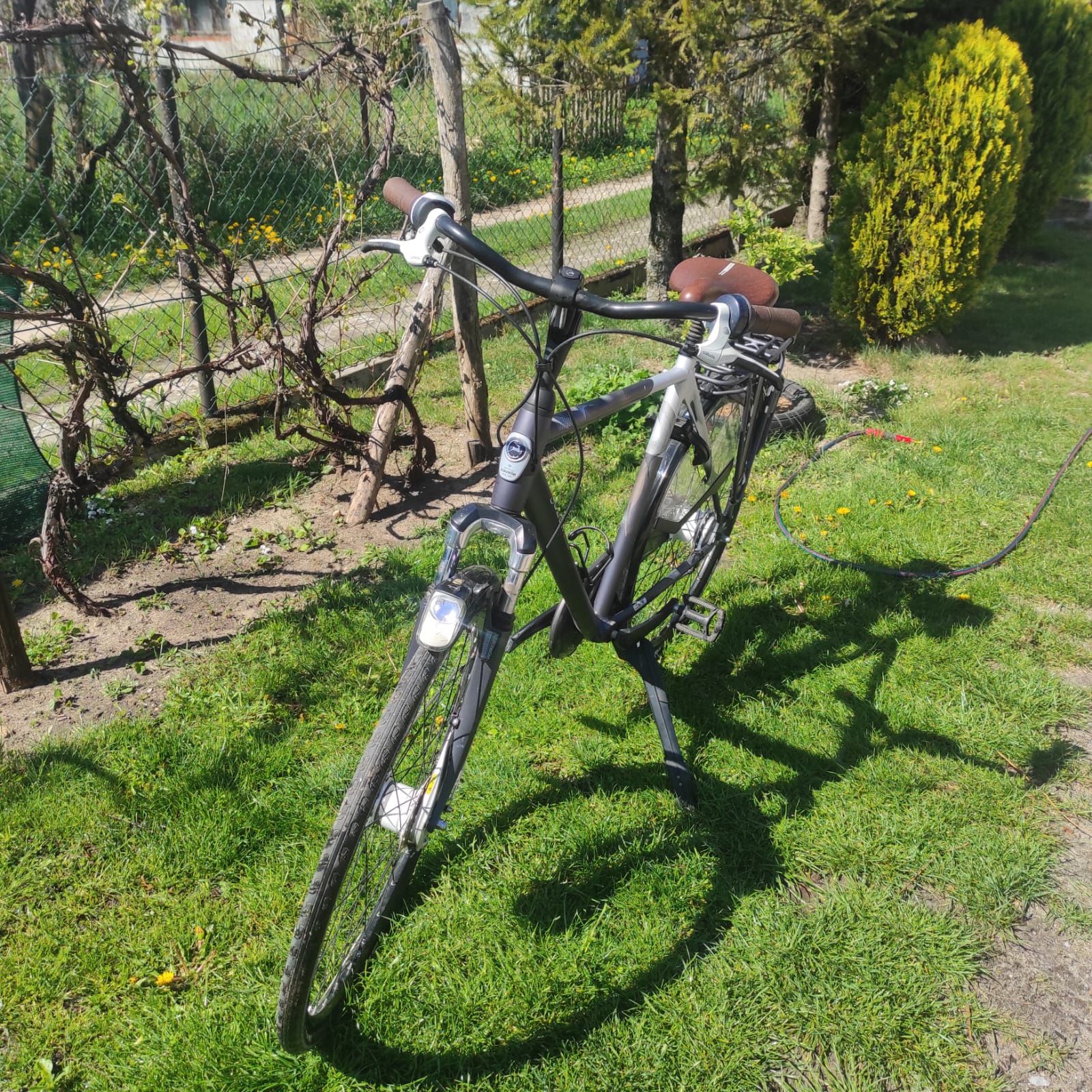 Rower Gazelle Eclipse Limited Edition
